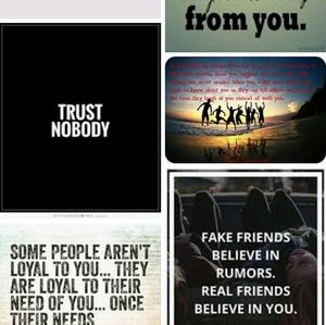 Meet your Posher, Barb